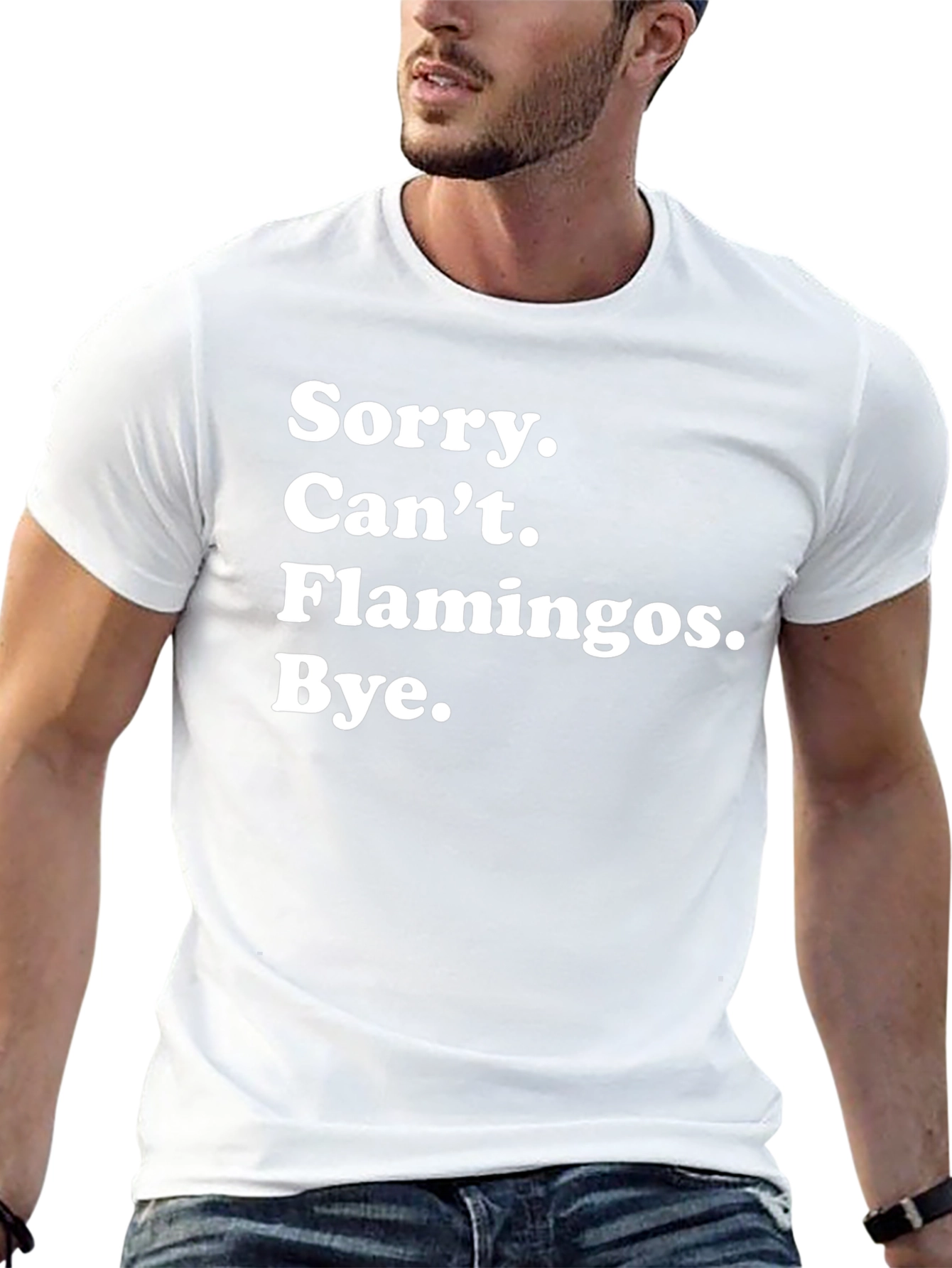 Camiseta Negra: Sorry Cant Flamingos Bye.