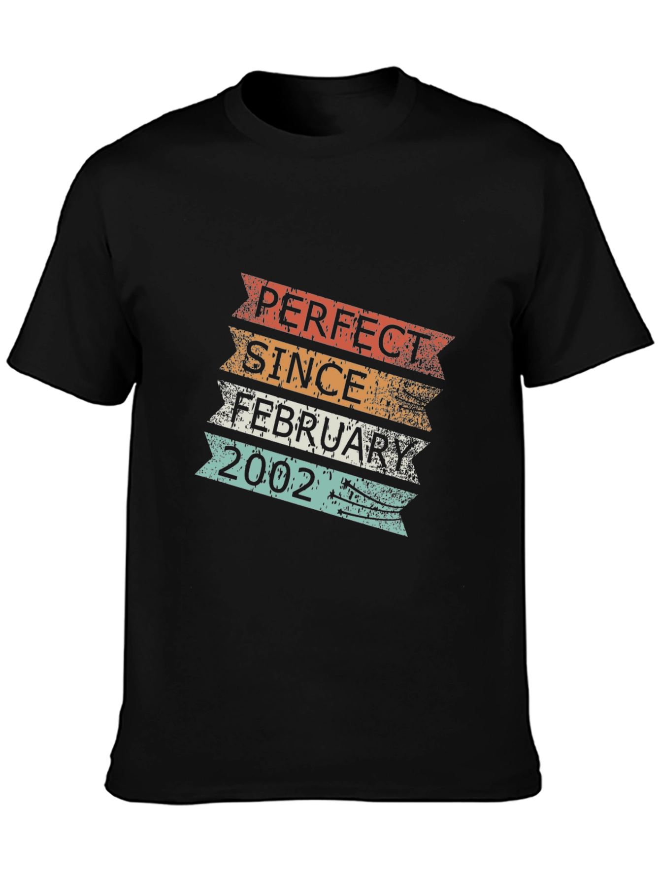 Camiseta Retro Cumpleaños Febrero 2002